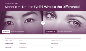 Monolid vs Double Eyelid