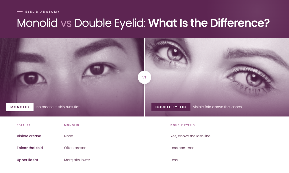 Monolid vs Double Eyelid